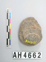 藏品(小砝碼型石網墜)的圖片